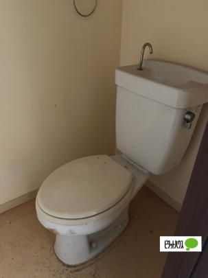 �y���̑��z�@�g�C��