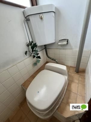 �y���̑��z�@�g�C��