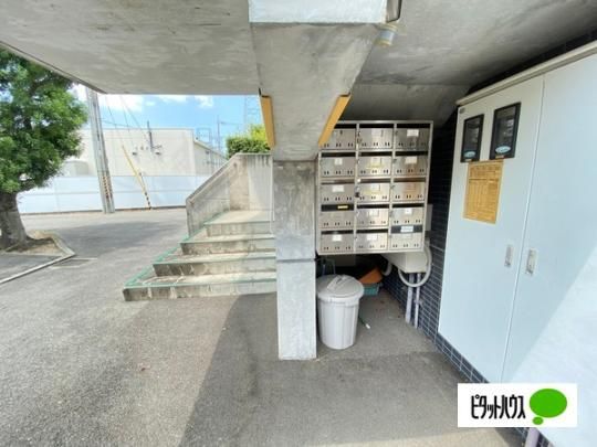 �y�����O�ρz�@�G���g�����X