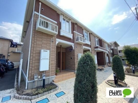 �f�B���v���@�A�����g �O�ώʐ^