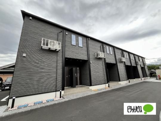 �����I�u�@�R�m�m�@�v���O���b�\ �O�ώʐ^