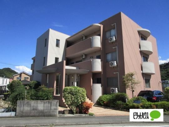 �����B�G�[�� �O�ώʐ^