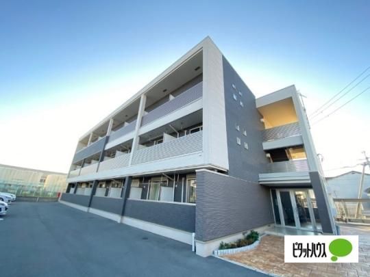 ���W�f���X�s�j �O�ώʐ^