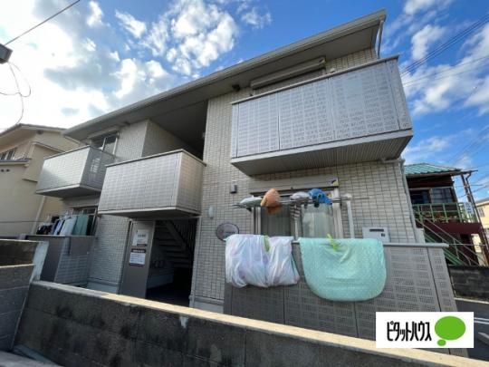 D-room���� �O�ώʐ^