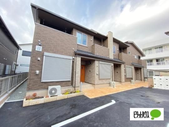 �v���~�A���K�[�f���U �O�ώʐ^