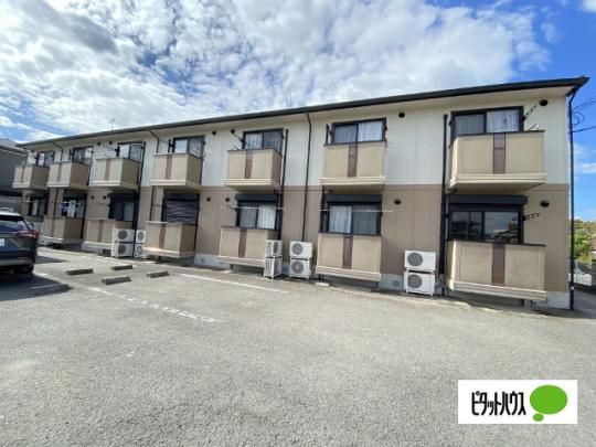 �\���C���E�I�[�~ �O�ώʐ^