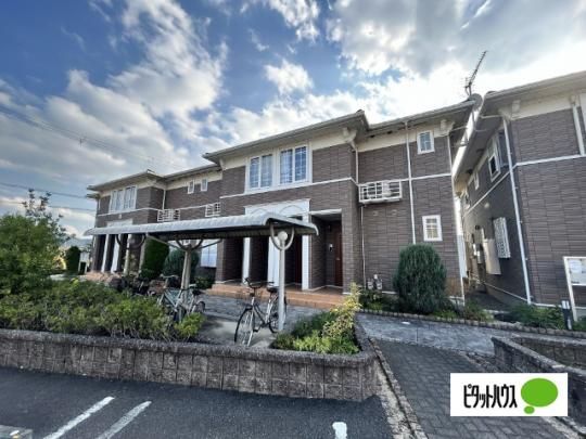 �n�s�l�X�E�u���b�N�@�T �O�ώʐ^