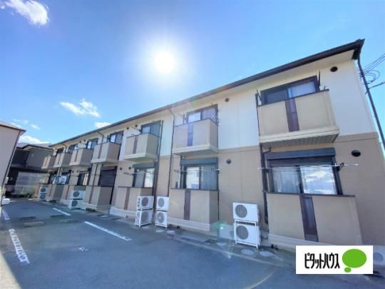 �\���C���E�I�[�~ �O�ώʐ^