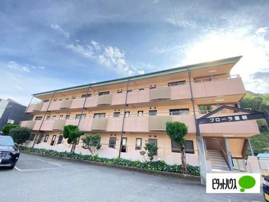 �t���[���d�� �O�ώʐ^