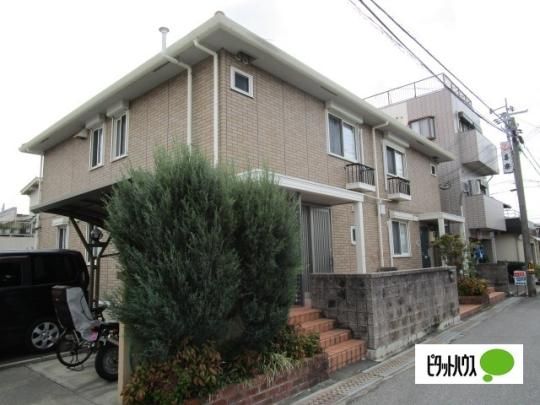 Phrase Hayashi(�t���[�Y �n���V) �O�ώʐ^