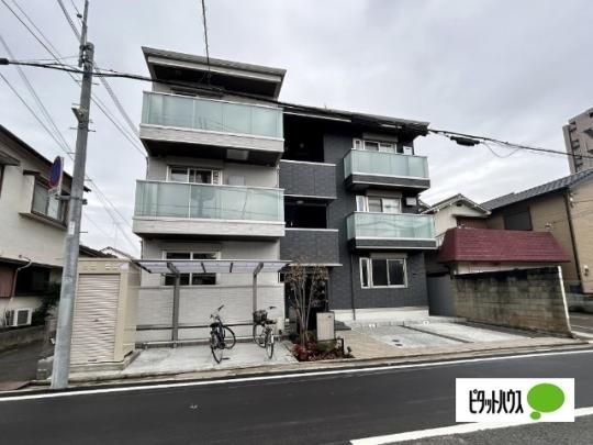 baffi di gatto(�o�b�t�B �f�B �K�b�g) �O�ώʐ^