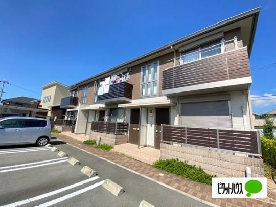 �V���[���]��Brilliant�U �O�ώʐ^