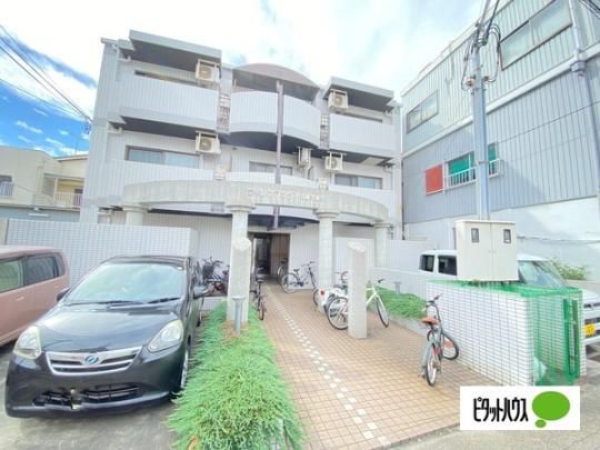 �V�����}���t�W���V����Ԋ� �O�ώʐ^