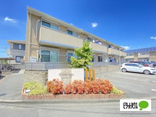 �G�N�����[�W���@�T �O�ώʐ^