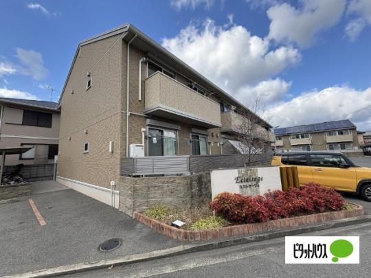 �G�N�����[�W���@�T �O�ώʐ^