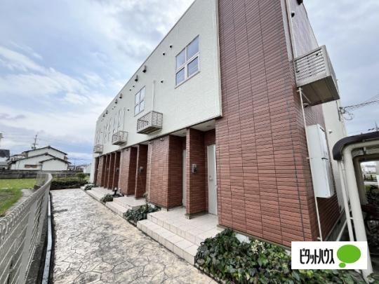 �T�j�[�u���C�g �O�ώʐ^