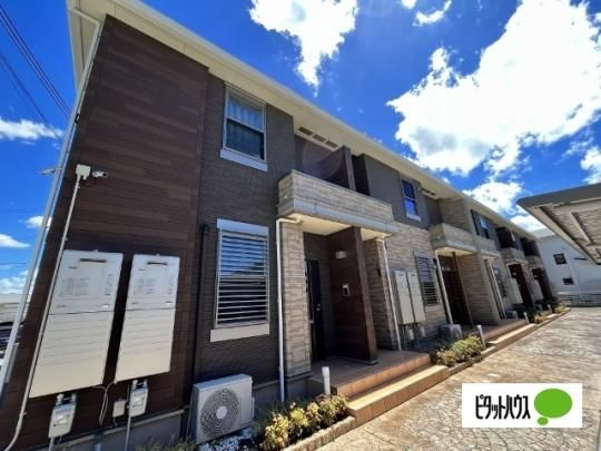 ���B���E�h�~�[�� �O�ώʐ^