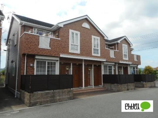 �A���g�E�s�A�[�m�L�{�V �O�ώʐ^