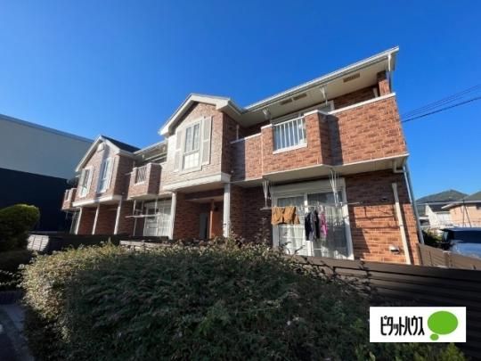 �V�F�[�l�U �O�ώʐ^