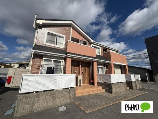 �T�����b�g�U�@�i�a�̎R�s�����j �O�ώʐ^