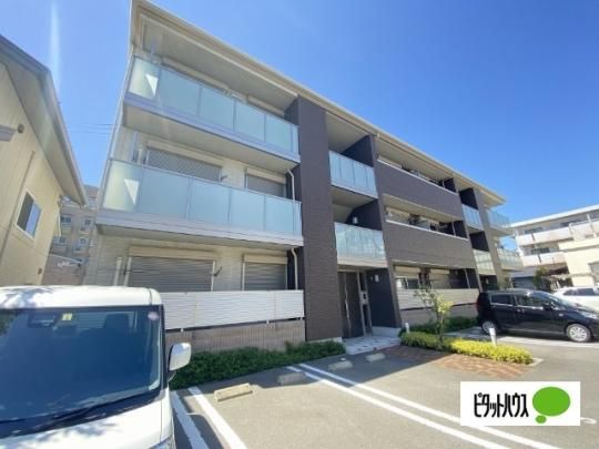 �V���[���]�����R�� �O�ώʐ^