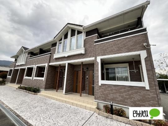 �V�����E�m�[���@�[ �O�ώʐ^