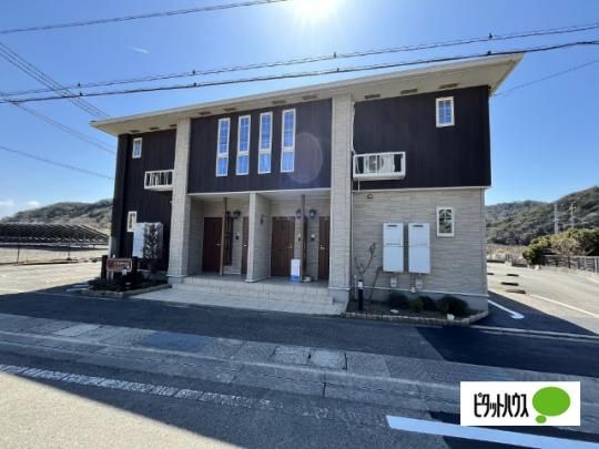 �p�~�h�[���@�V �O�ώʐ^