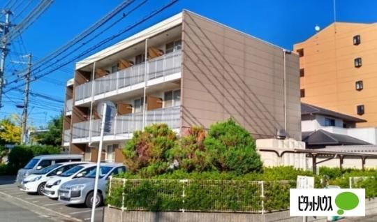 ���I�p���X�k�V �O�ώʐ^