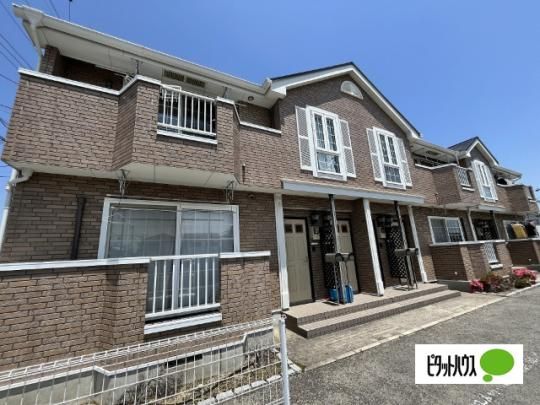 ���x�j���[�����U �O�ώʐ^