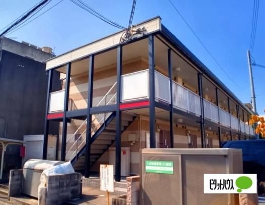 ���I�p���X�k�V���J�� �O�ώʐ^