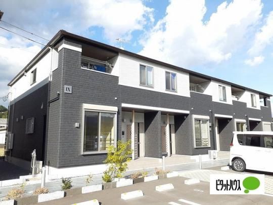 �T�j�[�z���C�g�\ �O�ώʐ^