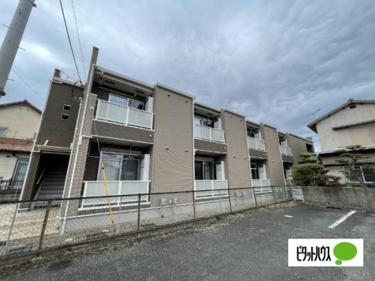 �v�������A �O�ώʐ^