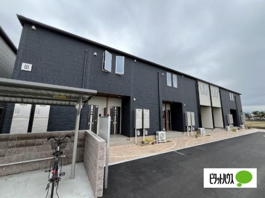 �Q�~���[�[�K���e���V �O�ώʐ^