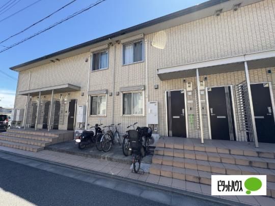 ���[�`�F�؃m�{ �O�ώʐ^