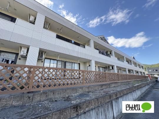 ���A�E�t���[�u �O�ώʐ^