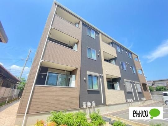 �K�[�f���R�[�g �O�ώʐ^