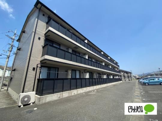 �O���[���q���Ƃ܂Ɩ���B�� �O�ώʐ^