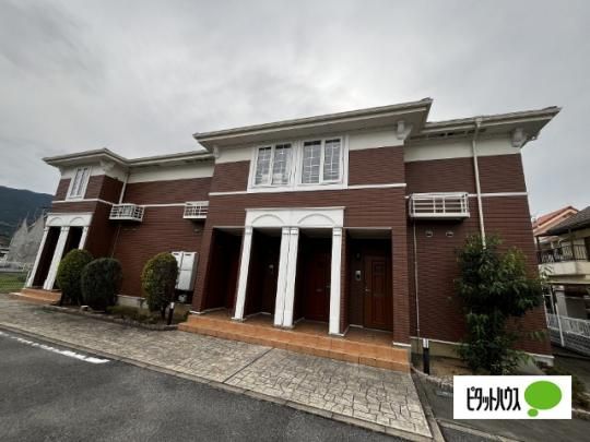 ���]���E�h�E�V�����|���U �O�ώʐ^