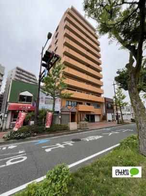 ���C�I���Y�}���V�����O�ؒ� �O�ώʐ^