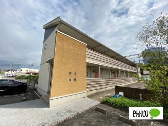 �p�C���Y�R�[�g�U �O�ώʐ^