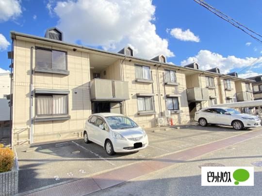 �Z�W���[��K �O�ώʐ^