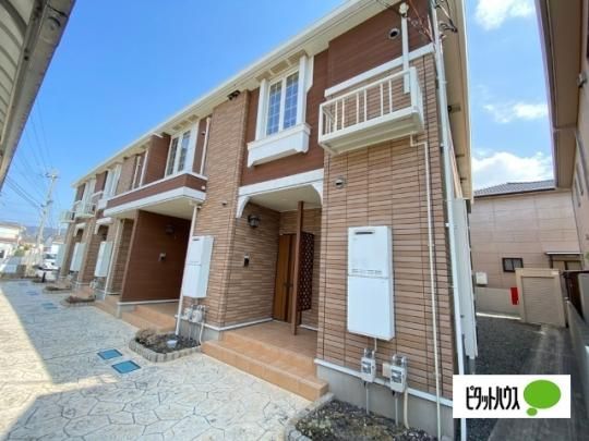 �f�B���v���@�A�����g �O�ώʐ^