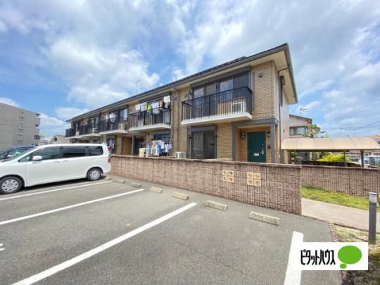 Grace Megumi(�O���[�X���O�~) �O�ώʐ^