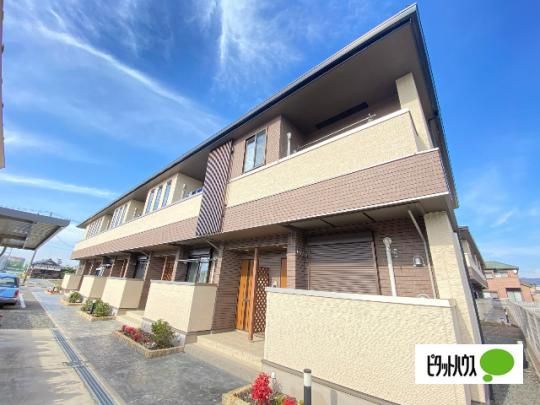 �{�k�[���⋴�@�T �O�ώʐ^