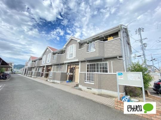 �G�s�i�[���T �O�ώʐ^