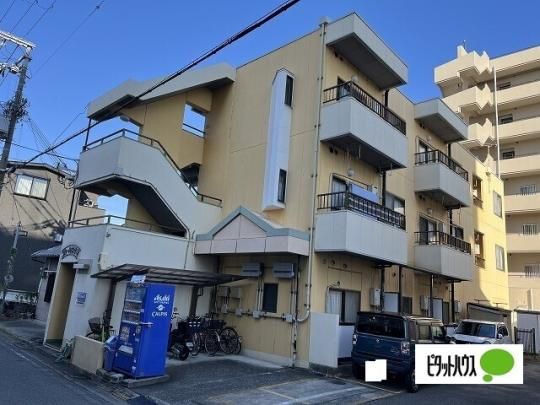 �t���[���c���� �O�ώʐ^