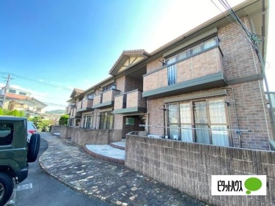 �T�����B���b�W�c�K�@�a�� �O�ώʐ^