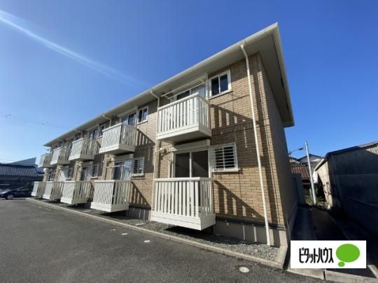 �O�����f�B�[���U �O�ώʐ^