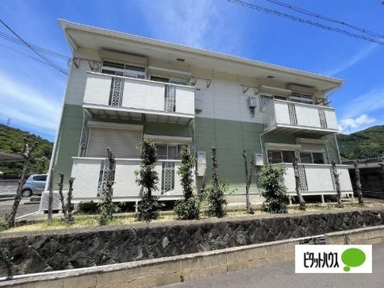 �T���t�B�[���h �O�ώʐ^