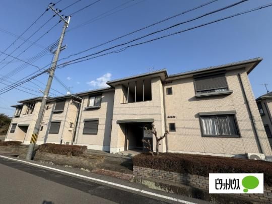 �V���[���]���M�u�� �O�ώʐ^